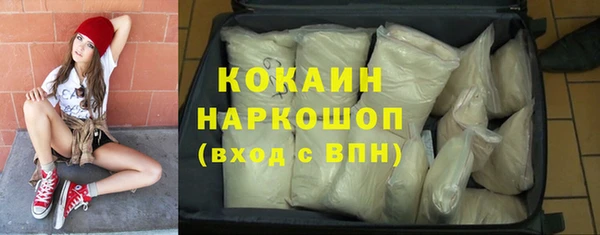 гидра Аркадак