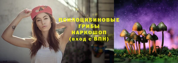 дурь Армянск