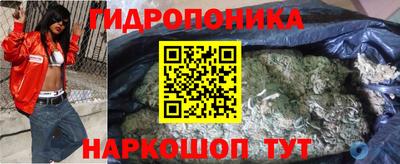 ешки Сланцы