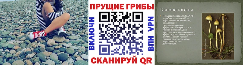 Псилоцибиновые грибы мицелий  даркнет сайт  Георгиевск 